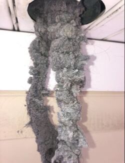 Lint taken out of a dirty dryer vent